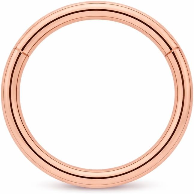 14k solid gold classic hinged segment clicker ring for women – seamless nose, septum & cartilage hoop | minimal everyday fine piercing jewelry | secure easy click closure gift for her 14k solid gold classic hinged segment clicker ring for women – seamless nose, septum & cartilage hoop | minimal everyday fine piercing jewelry | secure easy click closure gift for her