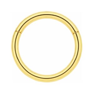 14k solid gold classic hinged segment clicker ring for women – seamless nose, septum & cartilage hoop | minimal everyday fine piercing jewelry | secure easy click closure gift for her