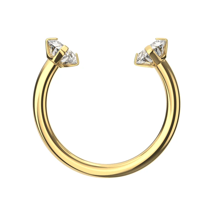 g 316lsurgicalsteelcircularbarbellwithdoubleprong setczgems 691x691 g 316lsurgicalsteelcircularbarbellwithdoubleprong setczgems 691x691
